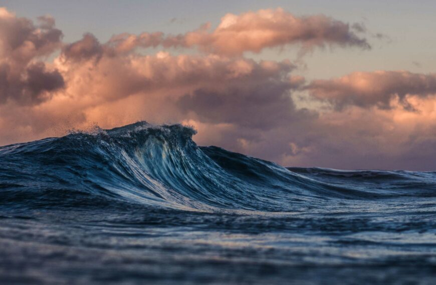 Seaturns project