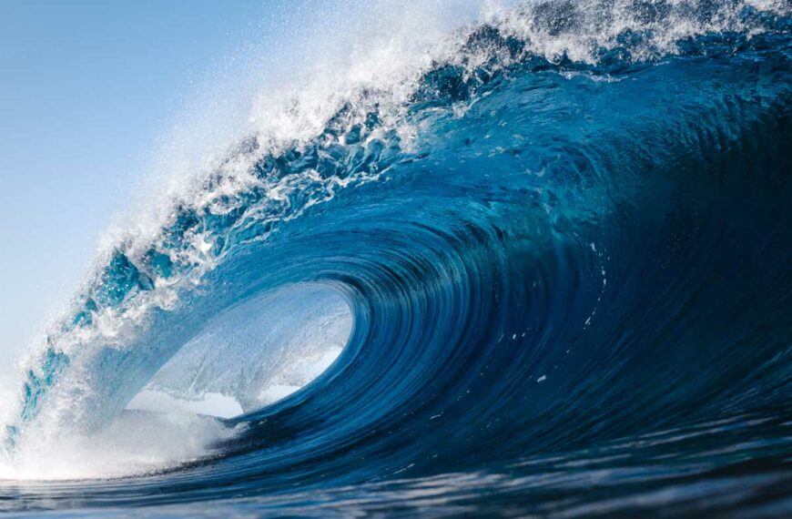 ANACONDA Wave Energy Converter (WEC)